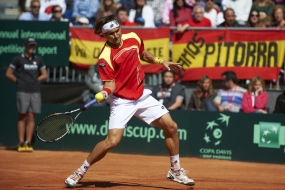 David Ferrer, © RFET