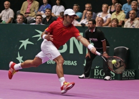 Fernando Verdasco, © RFET