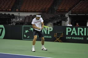 David Ferrer, © RFET