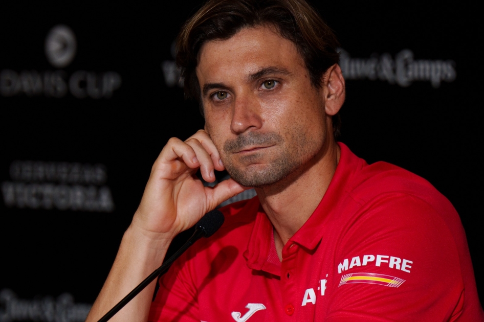 David Ferrer: 