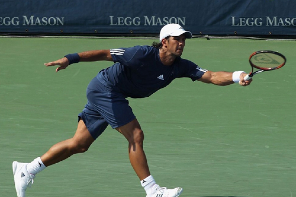 Verdasco se queda fuera de las semifinales en Washington ante Baghdatis