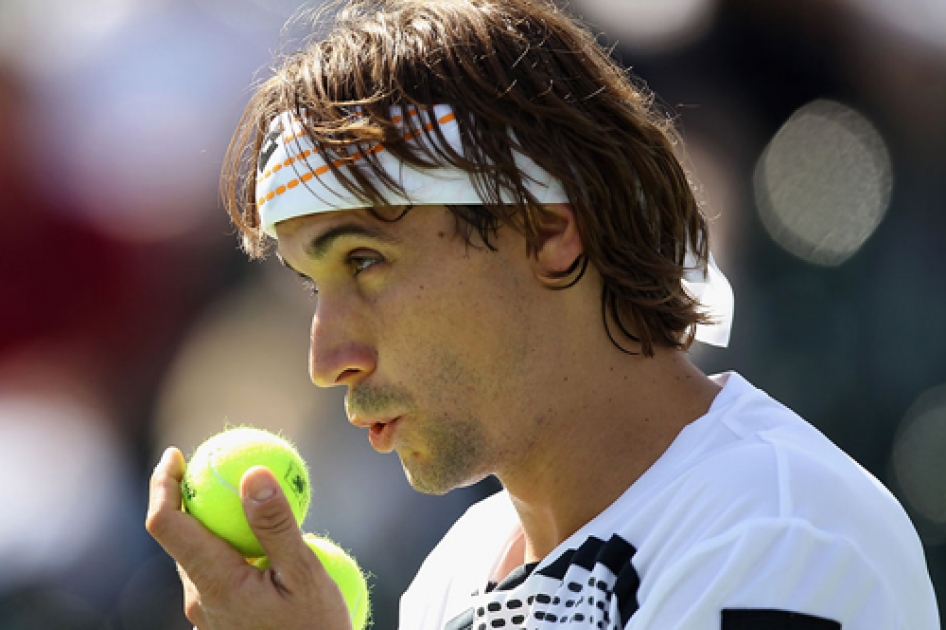 Ferrer queda fuera de las semifinales tras caer ante el local Mardy Fish